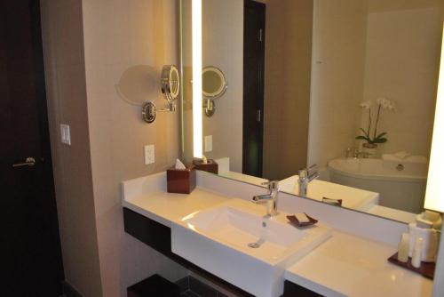 Deluxe Suite image 2