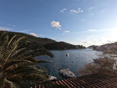 Apkārtne, Villa Agata in Lastovo