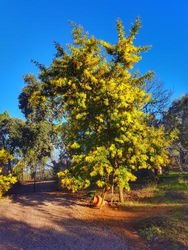 Finca La Viriñuela