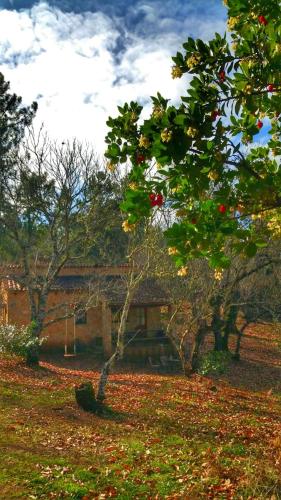 Finca la Viriñuela - image 14