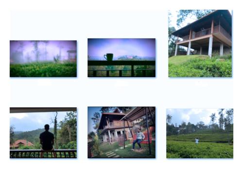 Vythiri Tea Garden Retreat