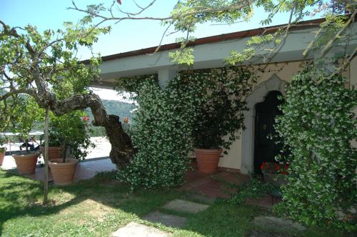 马赛利亚圣卢西亚酒店