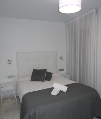 Domus Apartamentos Granada con parking gratuito en pleno centro