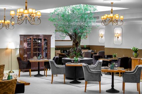 Ventus Rosa Boutique Aparthotel, Cracovia (foto 6)