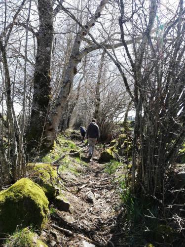 Best Western Le Relais de Laguiole Hôtel & Spa - image 5