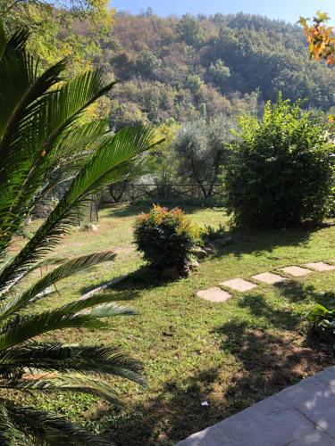 Casa Costanza