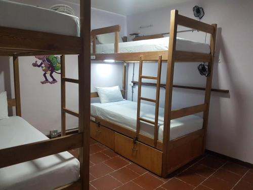 Purple Monkey Hostel in Medellín