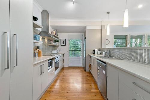 Grevillea - Gold Coast