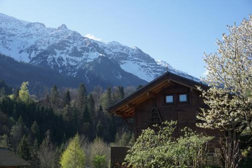 Chalet Indépendant " L'anfian-ne"