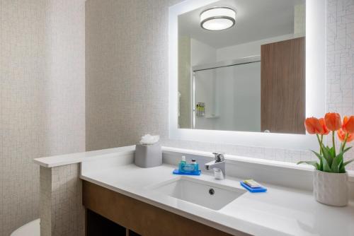 Holiday Inn Express & Suites Alachua - Gainesville Area an IHG Hotel - image 7