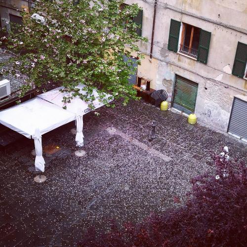 Lavagna Uno, Genua (zdjęcie 11)