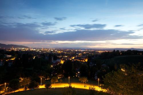 Mercure Hotel Panorama Freiburg - image 5