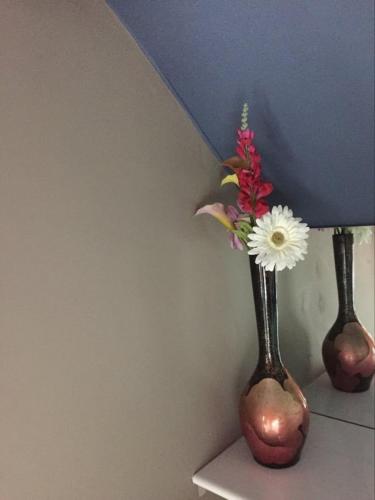 Poltair Guest House photo