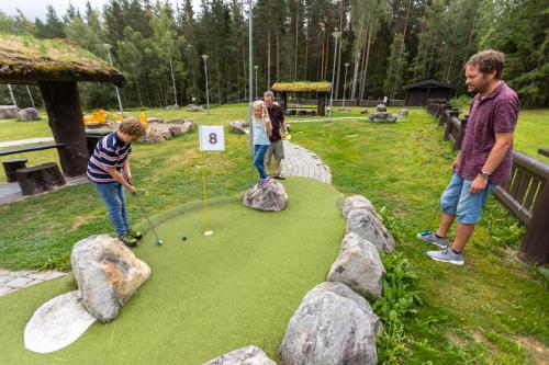 Hunderfossen Hotel & Resort - image 2