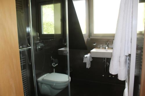 Bathroom, Ospizio San Gottardo in Airolo