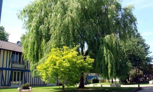 Les Wyllos in Thieblemont-Faremont
