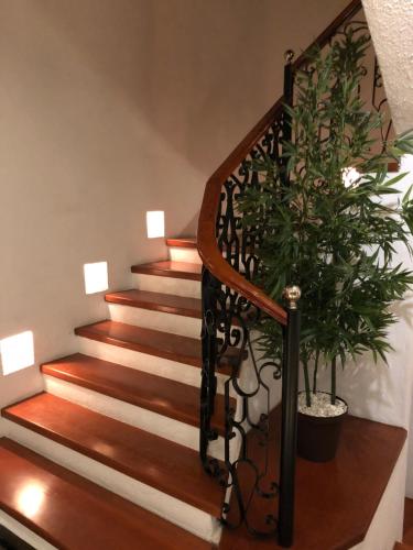 Habitaciones con baño privado disponibles in Mexico City, Mexico