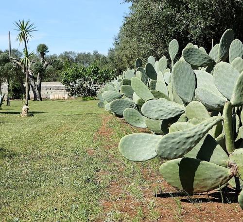 Casale in villa tipica Salentina con Piscina