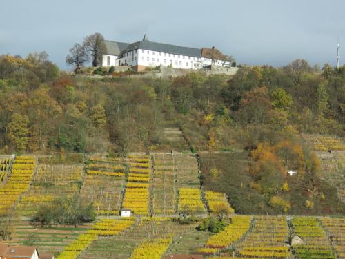 Ferienwohnungen Haus Albert - image 6