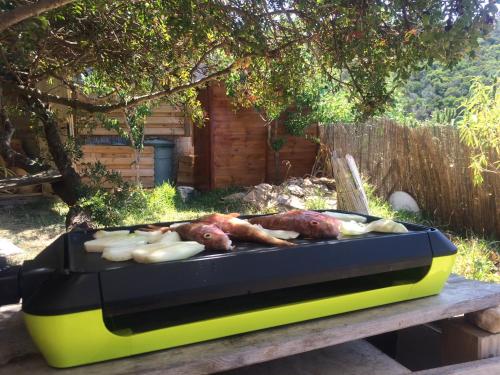 RC d'un Cabanon ecologique ile du levant Naturiste reservable du samedi au samedi in Port-Cros