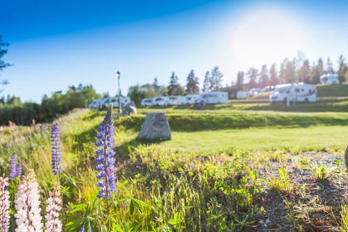 Groven Camping & Hyttegrend - image 5