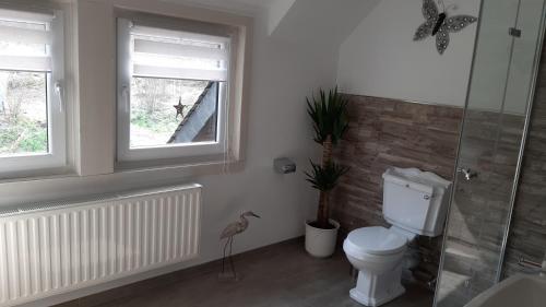 Haus im Strycktal, Willingen (photo 9)