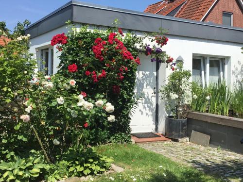 Held Ursel, Neustadt in Holstein (foto 3)