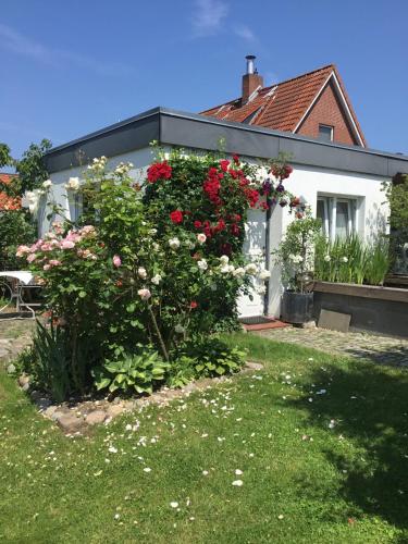 Held Ursel, Neustadt in Holstein (foto 2)