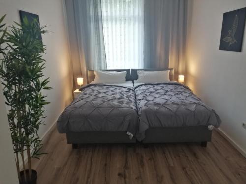 Kölsche Wohnung 2C, Kolonia (zdjęcie 6)