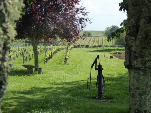 La Vigneraie de Laura: Gîte Entre Vignes et Chênes