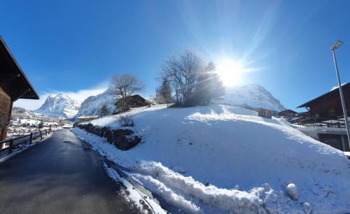 Apartment Lilalama in 格林德瓦郊區