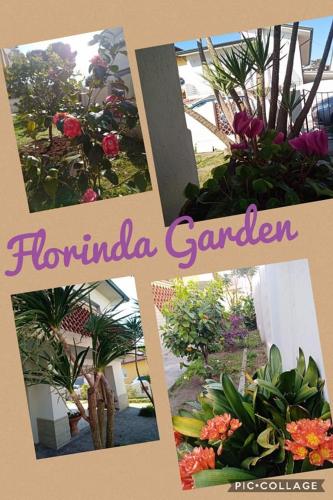  Florinda B&B Viareggio in Viareggio