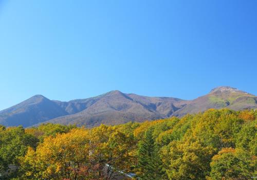 Nasu Hoshi no Akari – Nasu, FL