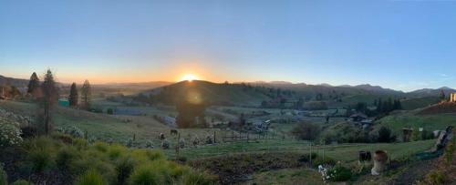 Wake Field Views - Accommodation - Nelson