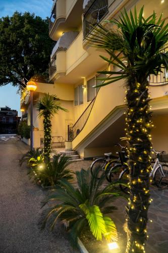 Residence Queen, Rimini (fotografie 5)
