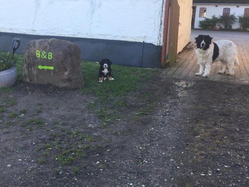  Korshøjgårds Bed og Breakfast in Herlufmagle