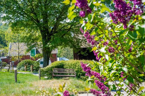 cruwzo I Apartment with garden Elberfeld, Wuppertal (Foto 4)