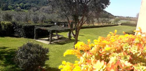 Agriturismo Monte Argentario - image 11