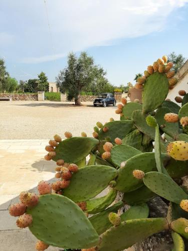 Masseria Fulcignano