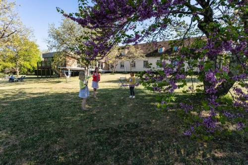Relais Amadourien - image 13
