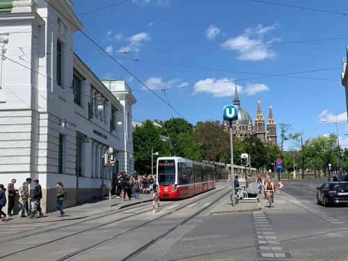 Pink Grapefruit City Condo - image 5