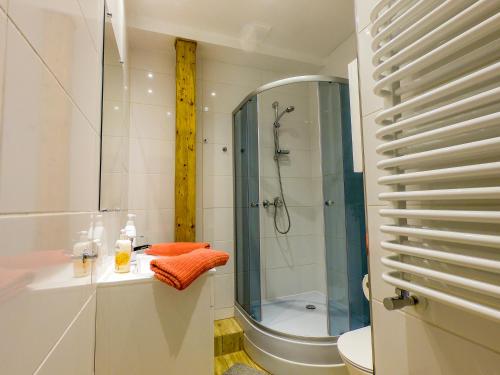 Apartament dwupoziomowy Ski&Bike, Szklarska Poręba (foto 10)