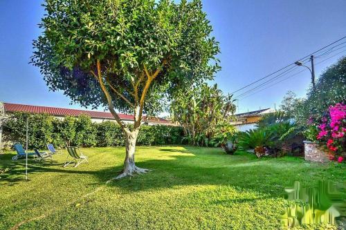 Villa with garden near the sea with wi-fi - image 11