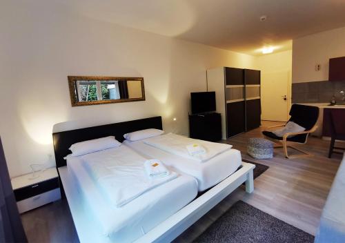 spacious studio - city centre - airconditioned - netflix - terrace, Germersheim