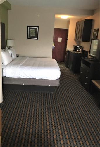 Comfort Inn & Suites - image 9