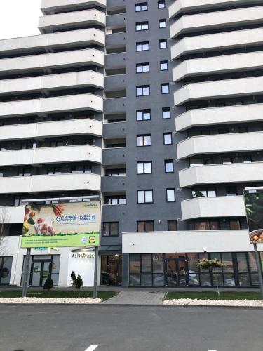 Alpha Apartment, Braşov (foto 9)