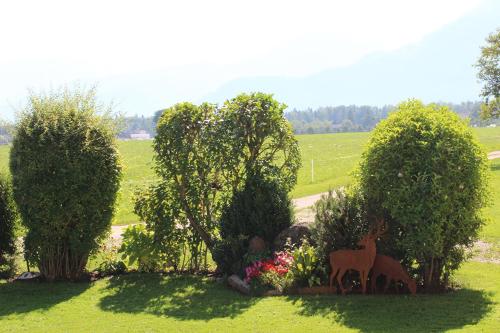 Plombergbauer - image 13