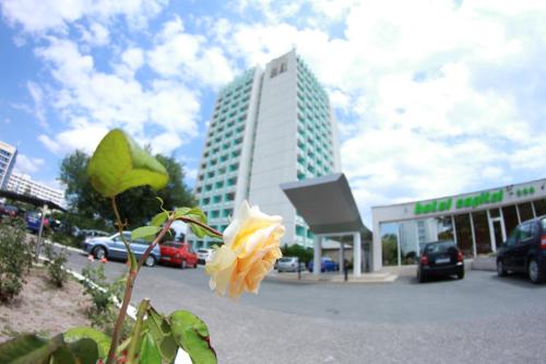 Hotel Capitol - image 9