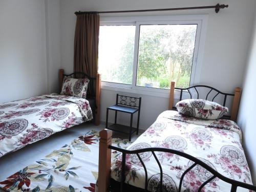 Ertunalp Apartment - main image