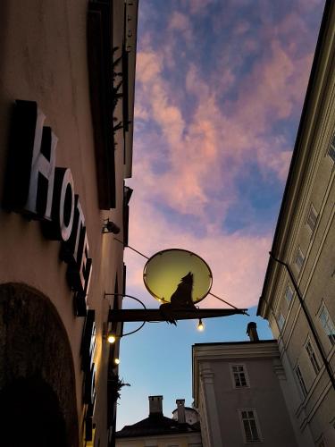 Hotel Wolf - image 14